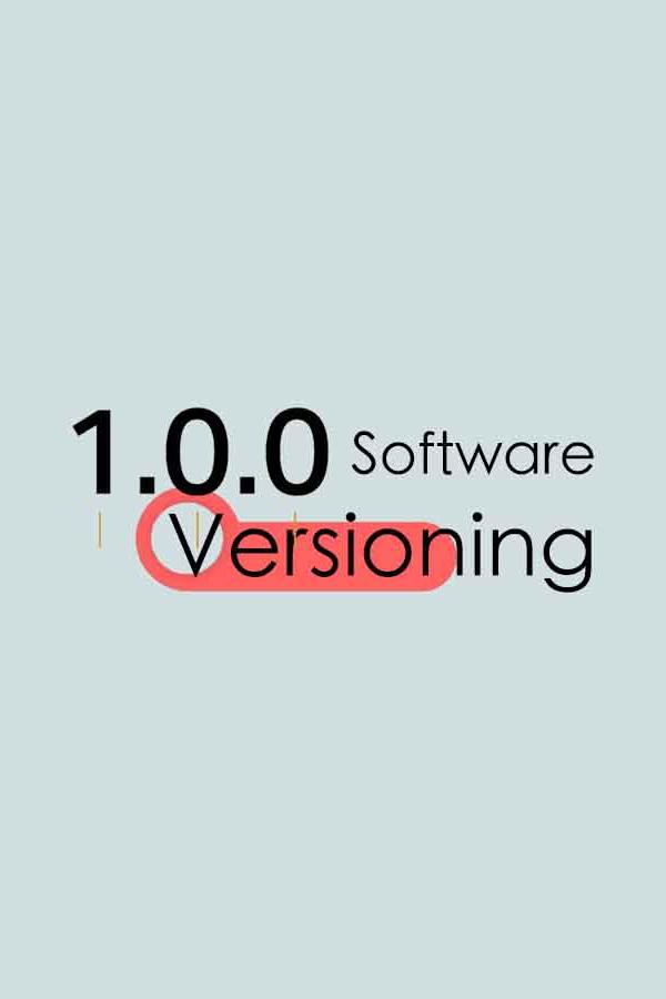 Software Version:  What do they really means?