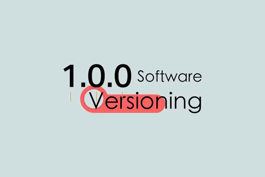 Software Version:  What do they really means?